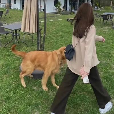记我的母亲